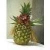 Ananas, installazione Frutt'Art, di Glaucia Coelho Demenjour