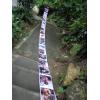 Plexus International Call RIO+20 Terra!!, 9 June 2012, Rio de Janeiro