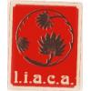 1976-1979: Spazio A, Cagliari and LIACA, rome