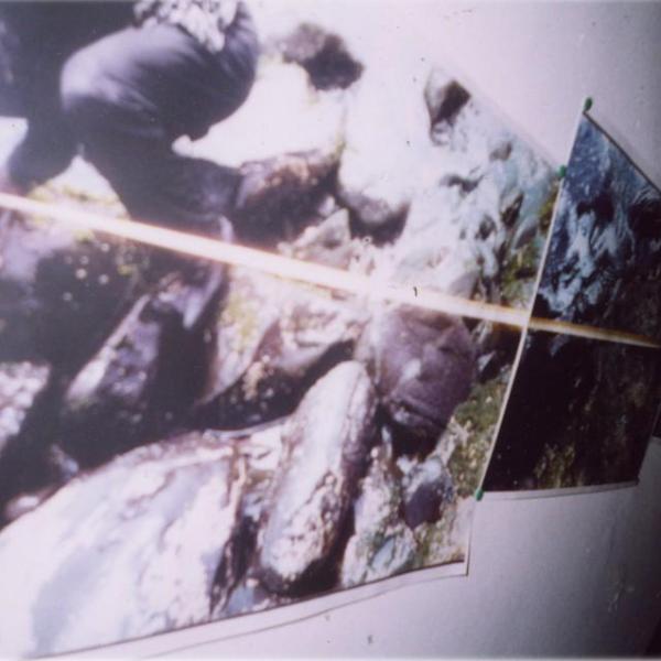 101 immagine 1988