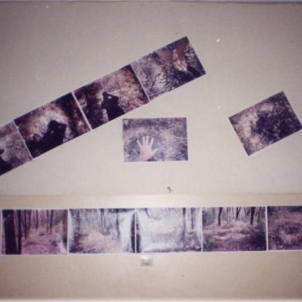 101 installation erosion australia par sandro