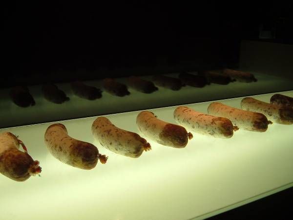 113 alimentaria 06 innoval window sausage
