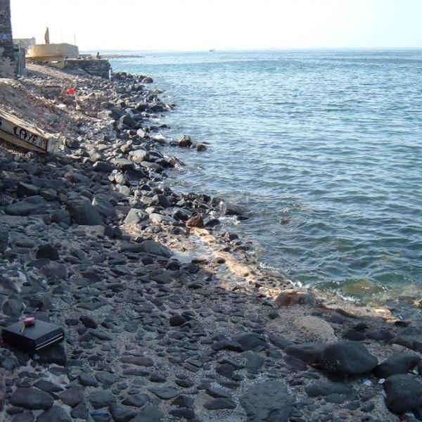 118 goree e medina marzo 2006 026