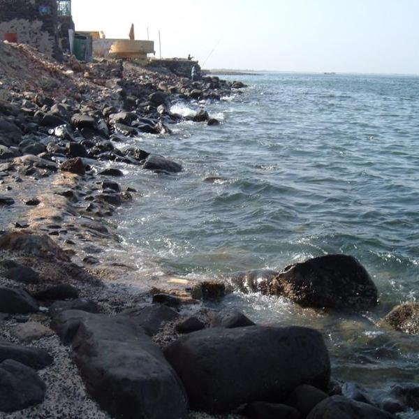 118 goree e medina marzo 2006 049