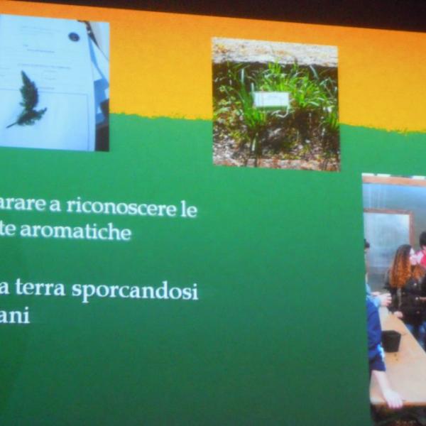 2011 Tavola rotonda Periferie di Roma