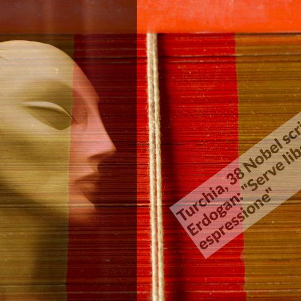 161 2018 anna marceddu- titolo  without words  articolo 19