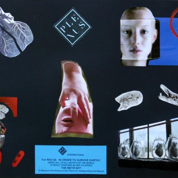 161 anna saba organs exploitation