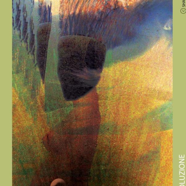 161 arte in voluzione 2012