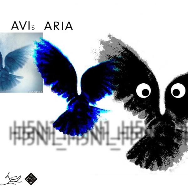 161 avisaria by soi