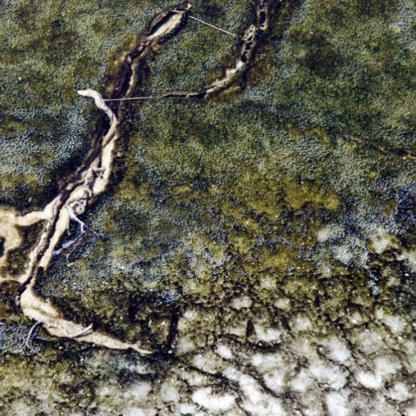 161 gabriella viana trasparenze d acqua72dpi