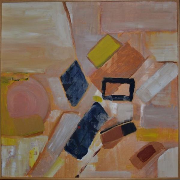 161 geometrie dei diritti