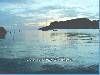 161 immagine 183