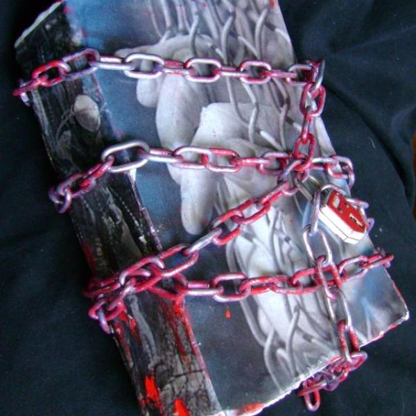 161 libro con catena 1