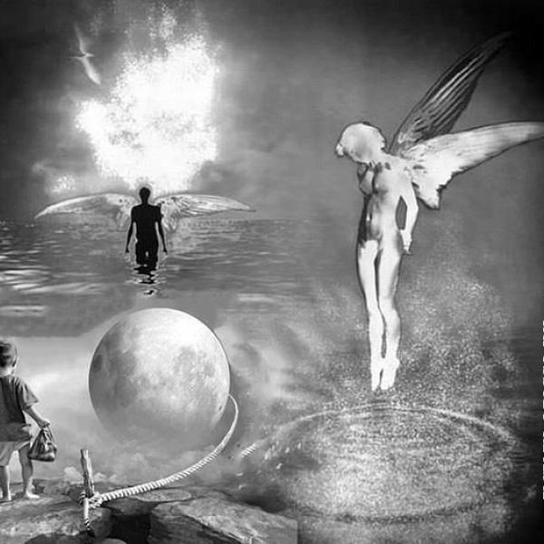 161 metr art 2017 l io immaginale  1