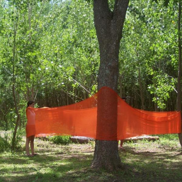 161 movimiento para un arbol
