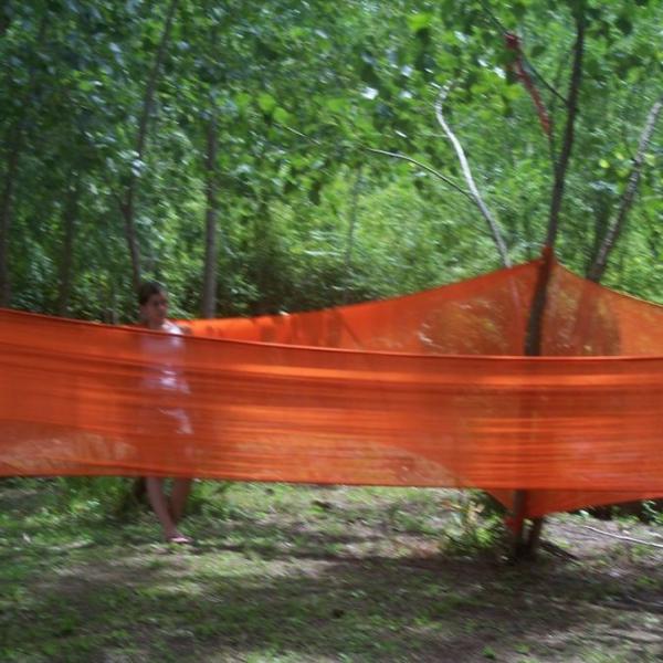 161 movimiento para un arbol - 2    movimiento para un   rbol        performance     viviana mac  as e in  s vrl
