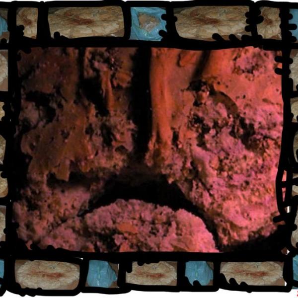 161 non-si-vive-di-solo-panevalerio immi
