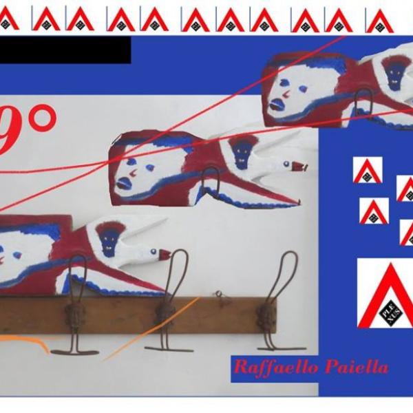 161 raffaello paiella articolo 19