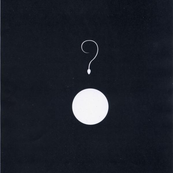 161 stefano asili 72dpi the big question mark