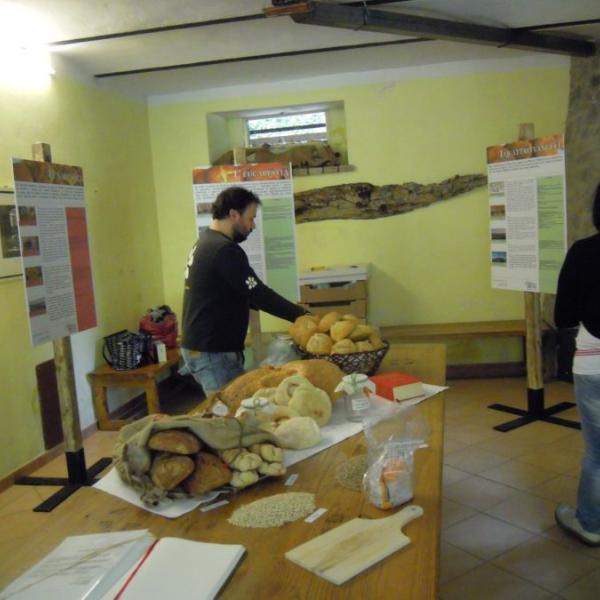 2012 Mostra 