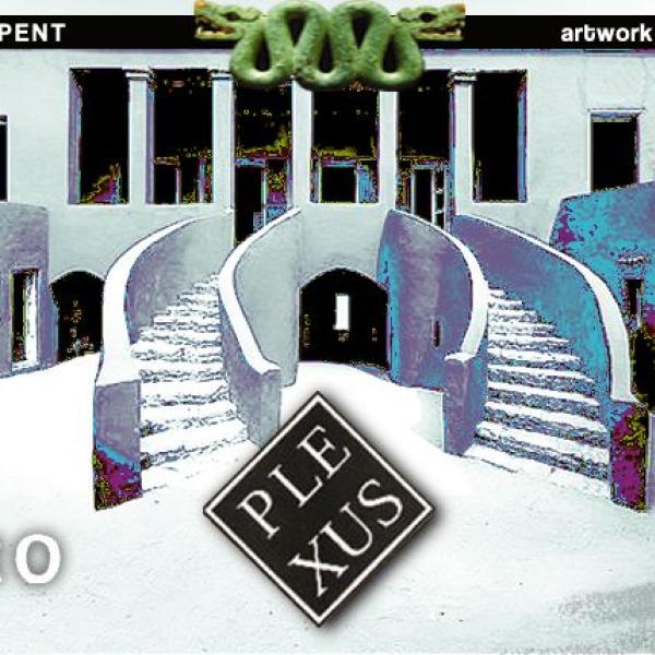 2012 Plexus Bring Your Light, evento collettivo artistico per un cambio di percezione e consapevolezza, 10 Dicembre 2012, Roma