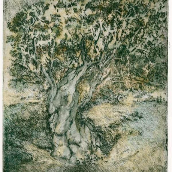 233 2018 renato fascetti art- 3