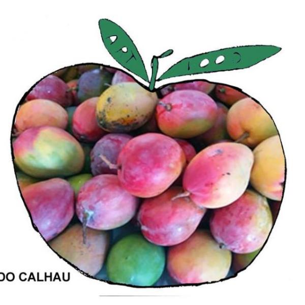 238 fernando calhau