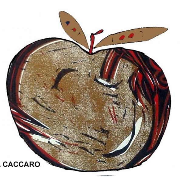 238 mirta caccaro