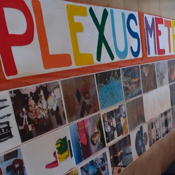 259 plexus metr art arancione