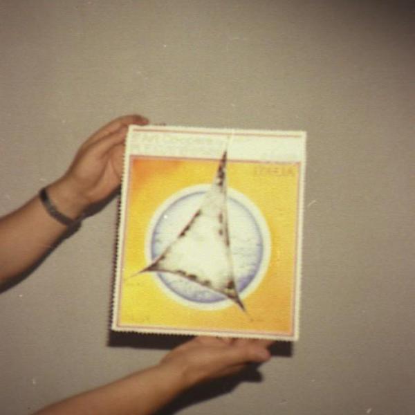 43 immagine 219