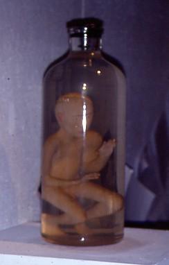 68 1993 nyu nov- rosenberg gallery eve homunculus