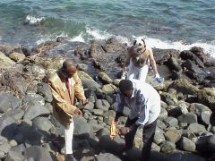 2000 goree 2000 007 240