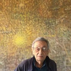 2024 fabrizio bertuccioli solo quadro 240