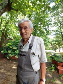 bertuccioli giardiniere 240