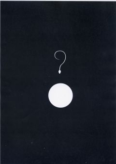stefano asili the big question mark 240